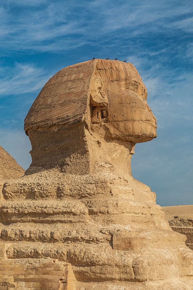 Africa-Egypt-Cairo Giza plateau Great Sphinx of Giza in front of the Great Pyramid of Giza